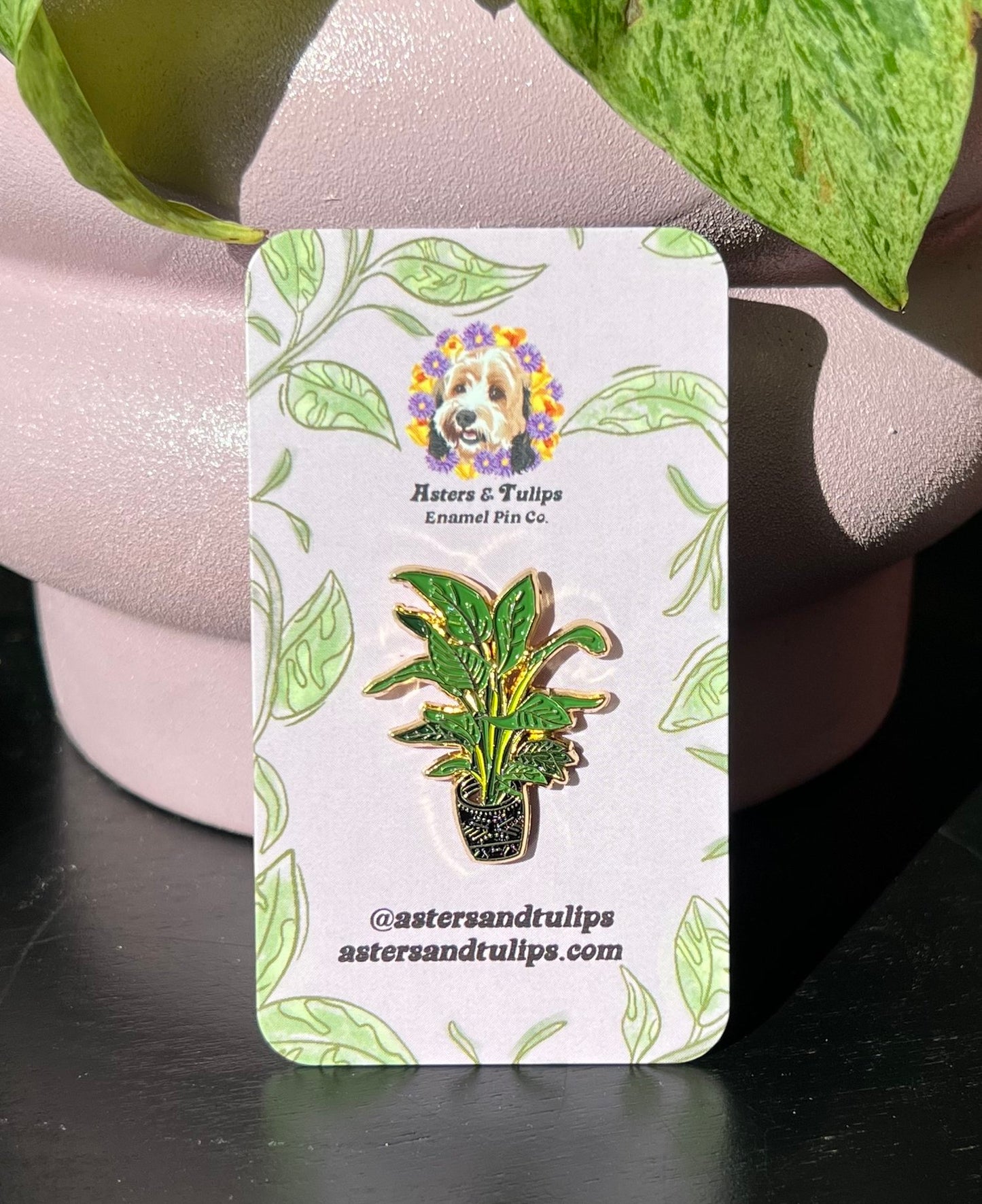 BOP ( Bird of Paradise )